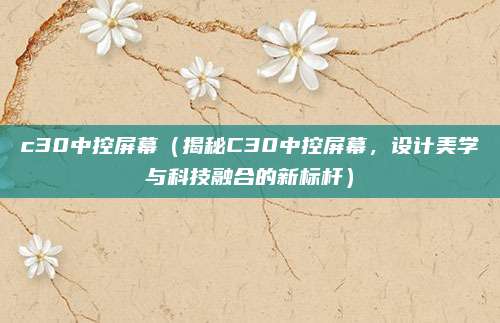 c30中控屏幕(揭秘C30中控屏幕,设计美学与科技融合的新标杆)