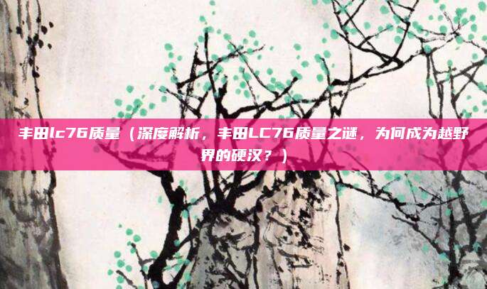 丰田lc76质量(深度解析,丰田LC76质量之谜,为何成为越野界的硬汉?)