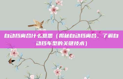 自动挡离合什么意思(揭秘自动挡离合,了解自动挡车型的关键技术)
