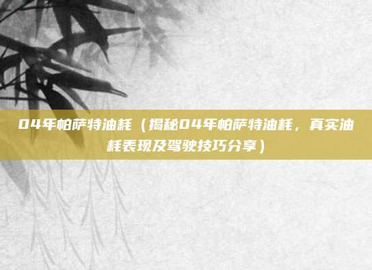 04年帕萨特油耗(揭秘04年帕萨特油耗,真实油耗表现及驾驶技巧分享)