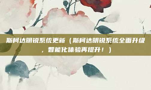 斯柯达明锐系统更新（斯柯达明锐系统全面升级，智能化体验再提升！）