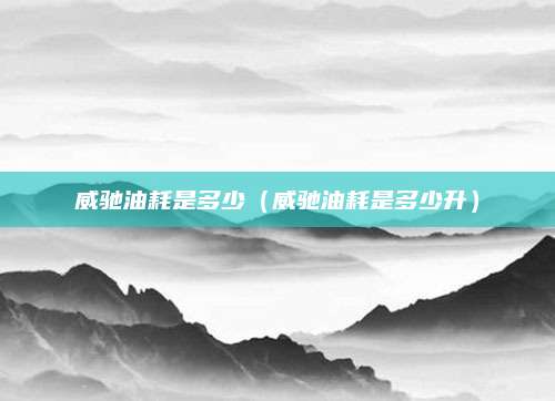 威驰油耗是多少(威驰油耗是多少升)