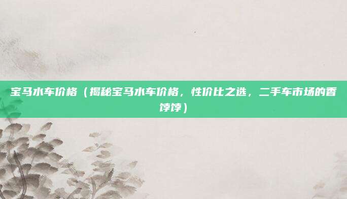 宝马水车价格(揭秘宝马水车价格,性价比之选,二手车市场的香饽饽)