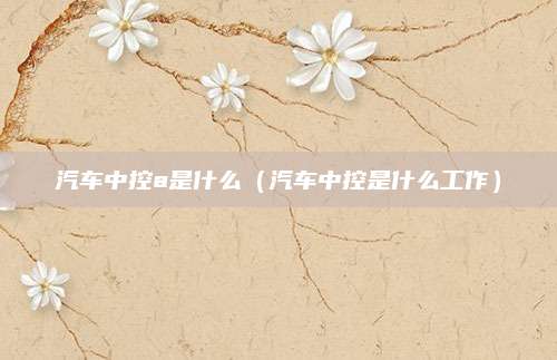 汽车中控a是什么(汽车中控是什么工作)