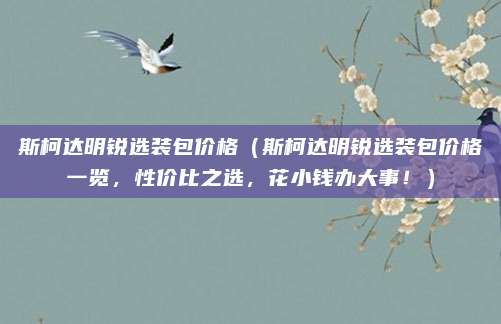 斯柯达明锐选装包价格（斯柯达明锐选装包价格一览，性价比之选，花小钱办大事！）