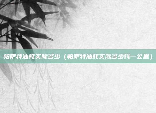 帕萨特油耗实际多少(帕萨特油耗实际多少钱一公里)