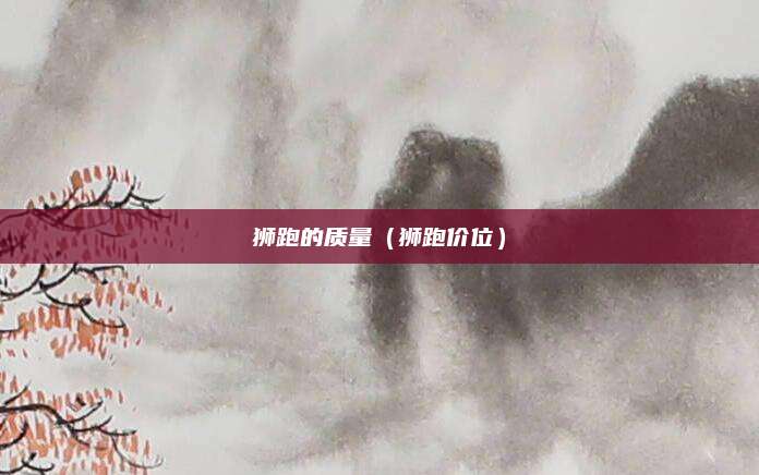 狮跑的质量(狮跑价位)