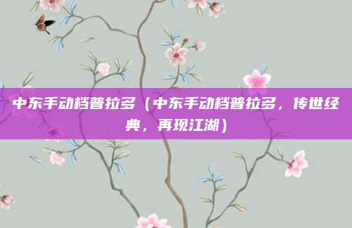 中东手动档普拉多（中东手动档普拉多，传世经典，再现江湖）
