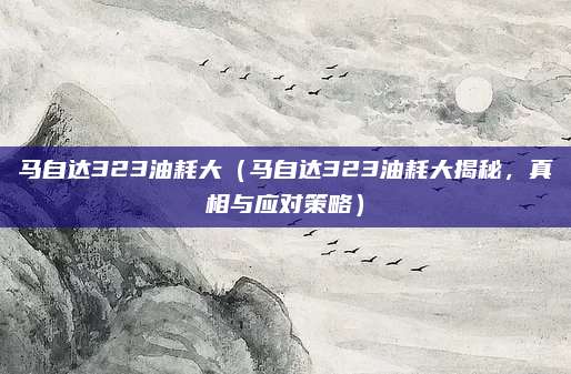 马自达323油耗大（马自达323油耗大揭秘，真相与应对策略）