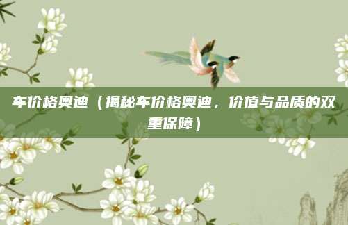 车价格奥迪(揭秘车价格奥迪,价值与品质的双重保障)