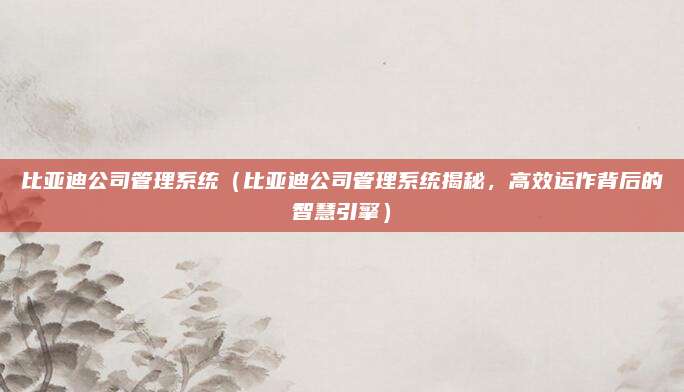 比亚迪公司管理系统(比亚迪公司管理系统揭秘,高效运作背后的智慧引擎)