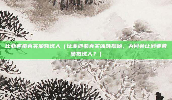 比亚迪秦真实油耗坑人（比亚迪秦真实油耗揭秘，为何会让消费者感觉坑人？）