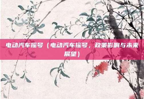 电动汽车摇号(电动汽车摇号,政策影响与未来展望)