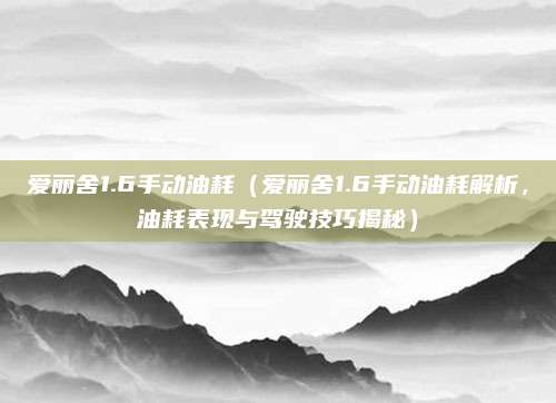 爱丽舍1.6手动油耗(爱丽舍1.6手动油耗解析,油耗表现与驾驶技巧揭秘)