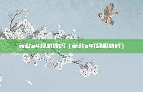 新款a4烧机油吗(新款a4l烧机油吗)