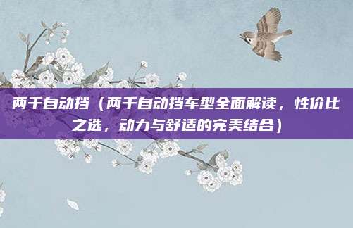 两千自动挡（两千自动挡车型全面解读，性价比之选，动力与舒适的完美结合）