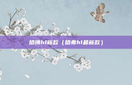 哈佛h1新款(哈弗h1最新款)