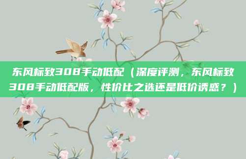 东风标致308手动低配(深度评测,东风标致308手动低配版,性价比之选还是低价诱惑?)
