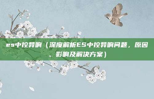 es中控异响(深度解析ES中控异响问题,原因、影响及解决方案)