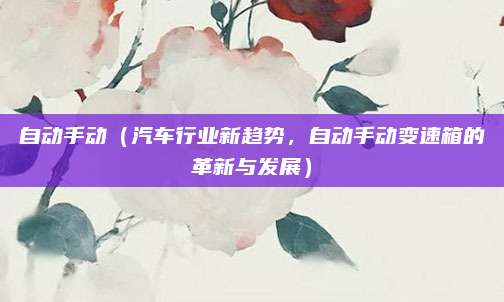 自动手动(汽车行业新趋势,自动手动变速箱的革新与发展)