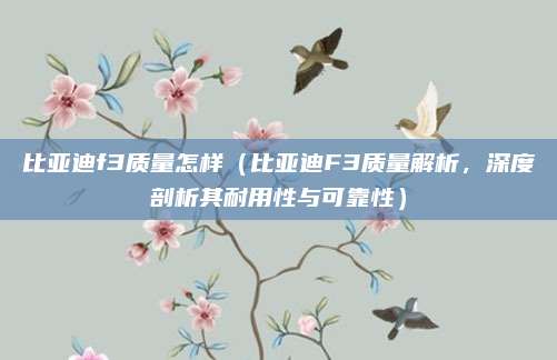 比亚迪f3质量怎样（比亚迪F3质量解析，深度剖析其耐用性与可靠性）