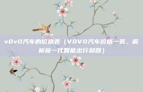 v0v0汽车的价格表(V0V0汽车价格一览,解析新一代智能出行利器)