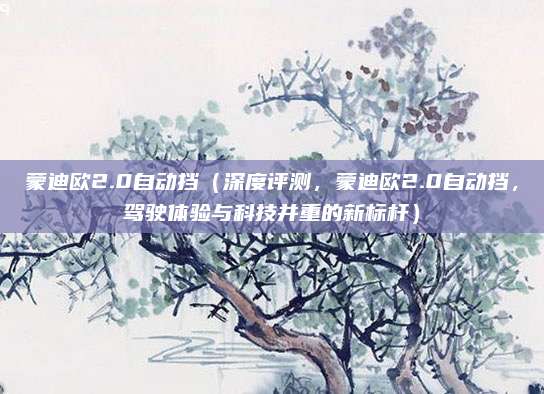 蒙迪欧2.0自动挡(深度评测,蒙迪欧2.0自动挡,驾驶体验与科技并重的新标杆)