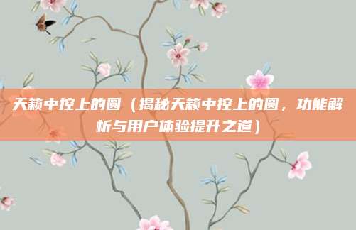 天籁中控上的圆(揭秘天籁中控上的圆,功能解析与用户体验提升之道)