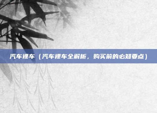 汽车裸车(汽车裸车全解析,购买前的必知要点)