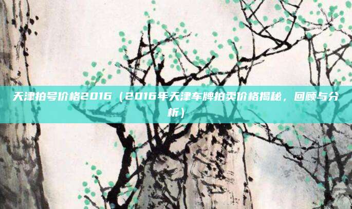 天津拍号价格2016(2016年天津车牌拍卖价格揭秘,回顾与分析)