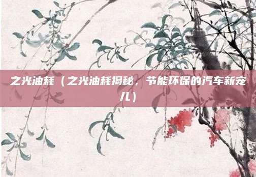 之光油耗（之光油耗揭秘，节能环保的汽车新宠儿）
