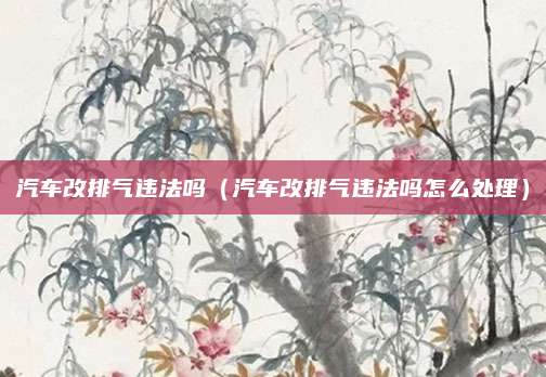 汽车改排气违法吗(汽车改排气违法吗怎么处理)