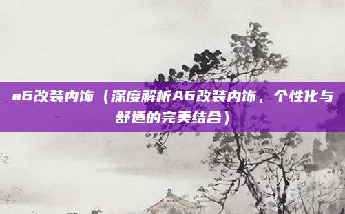 a6改装内饰(深度解析A6改装内饰,个性化与舒适的完美结合)