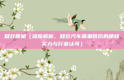 知豆质量(深度解析,知豆汽车质量背后的硬核实力与行业认可)