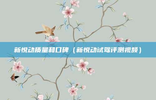新悦动质量和口碑(新悦动试驾评测视频)