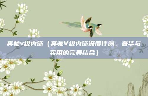 奔驰v级内饰(奔驰V级内饰深度评测,奢华与实用的完美结合)