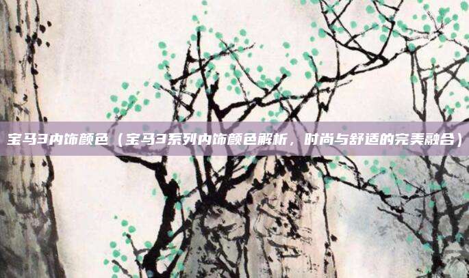 宝马3内饰颜色(宝马3系列内饰颜色解析,时尚与舒适的完美融合)