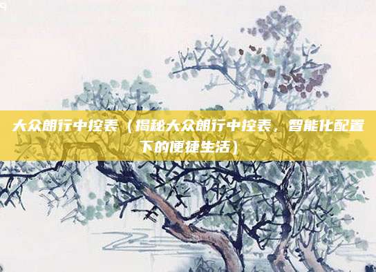 大众朗行中控表(揭秘大众朗行中控表,智能化配置下的便捷生活)