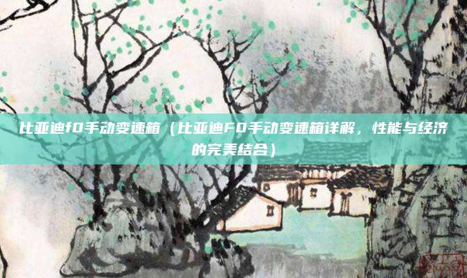 比亚迪f0手动变速箱（比亚迪F0手动变速箱详解，性能与经济的完美结合）