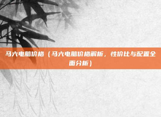 马六电脑价格(马六电脑价格解析,性价比与配置全面分析)