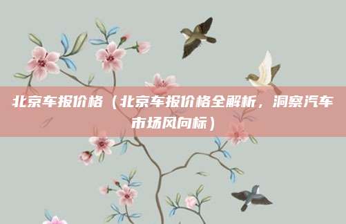 北京车报价格(北京车报价格全解析,洞察汽车市场风向标)