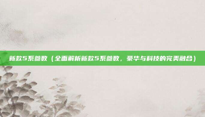 新款5系参数(全面解析新款5系参数,豪华与科技的完美融合)