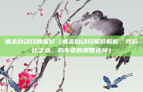 威志自动挡的报价(威志自动挡报价解析,性价比之选,购车者的明智选择)