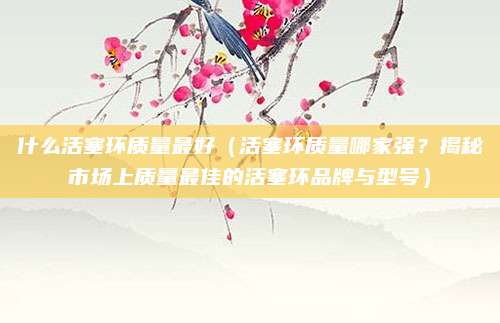 什么活塞环质量最好（活塞环质量哪家强？揭秘市场上质量最佳的活塞环品牌与型号）