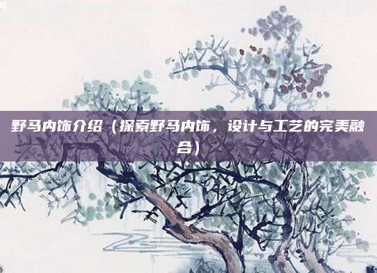 野马内饰介绍(探索野马内饰,设计与工艺的完美融合)