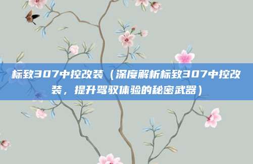 标致307中控改装（深度解析标致307中控改装，提升驾驭体验的秘密武器）