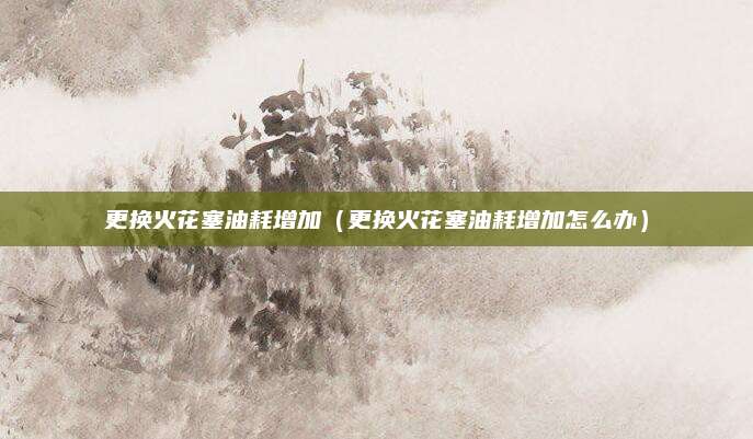 更换火花塞油耗增加(更换火花塞油耗增加怎么办)
