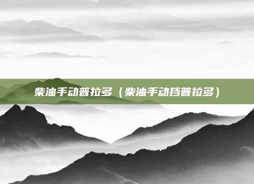 柴油手动普拉多(柴油手动挡普拉多)