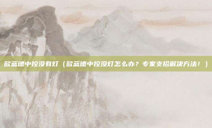 欧蓝德中控没有灯(欧蓝德中控没灯怎么办?专家支招解决方法!)