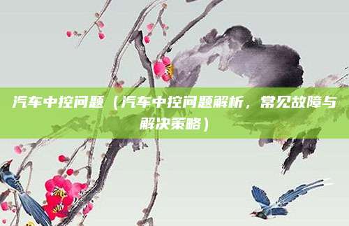 汽车中控问题（汽车中控问题解析，常见故障与解决策略）